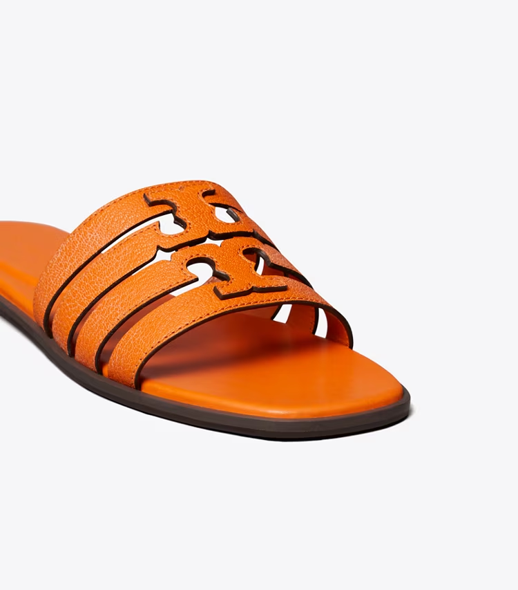 Ines Slide - Image 4